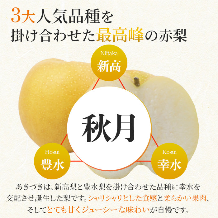 【9月上旬順次発送】送料無料 熊本産 わけあり あきづき 5キロ 12-16玉入り 家庭用
