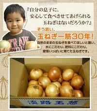 【予約商品 5月発送分 】＃淡路新玉ねぎ【訳あり】10Ｋ＃