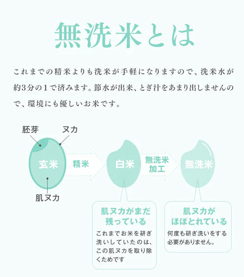 令和4年産 山形県産 はえぬき無洗米10kg(5kg×2) ※一部地域は別途送料追加 お米 コメ 米 JA rhm1004【フレッシュセール】