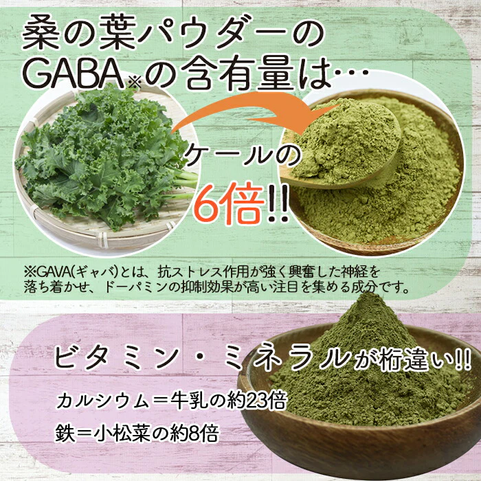 桑の葉パウダー (100g) ベジラボ