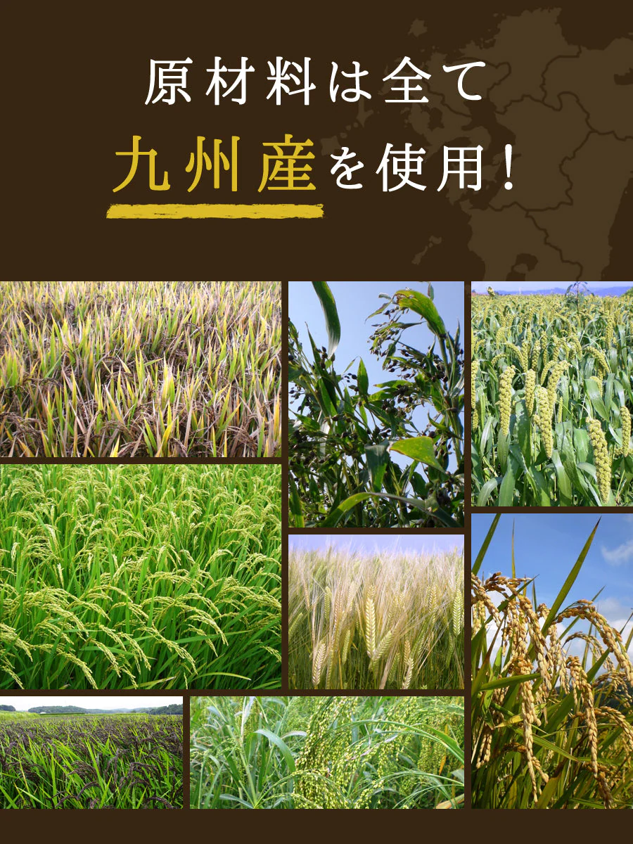 九州の15穀米 1袋 400g