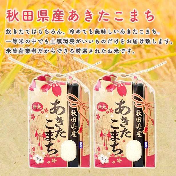 【無洗米20kg】秋田県産 あきたこまち20kg（５kg×4袋 ）令和4年産 一等米  米びつ当番【天鷹唐辛子】プレゼント付き【ゲリラセール】