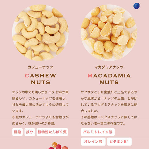 【3人シェア買いでお得】500g ラッキーベリーナッツ (250g×2) 無塩 ナッツ くるみ カシューナッツ アーモンド クランベリー ワイルドブルーベリー