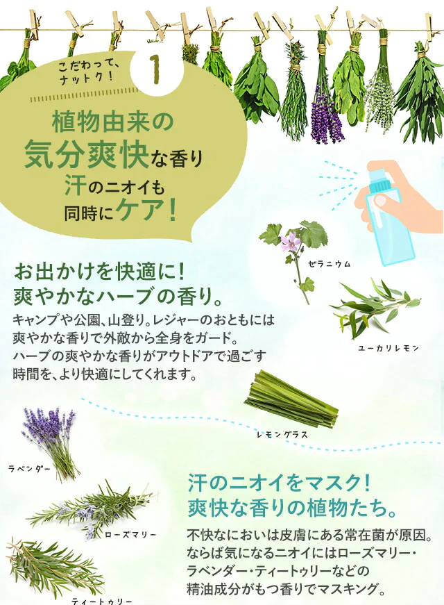ナチュール オーガニック アウトドア アロマミスト 100ml 【送料無料】 【 快適お出かけ アロマスプレー 夏用 ディート不使用 アウトドア ラナチュール LaNature 】