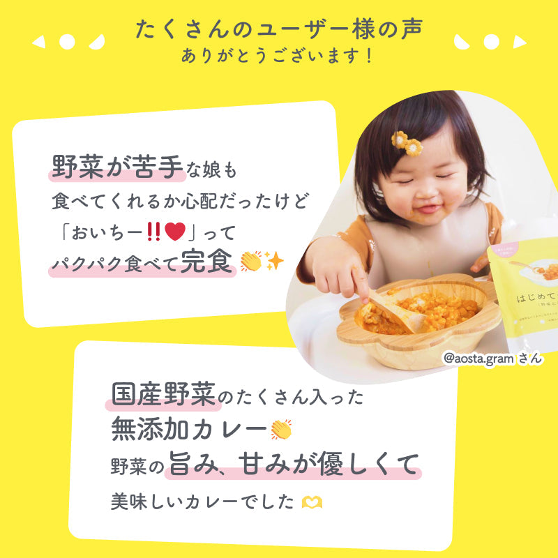 100g×3袋 レトルトカレー カレーレトルト はじめてのカレー（野菜とひよこ豆）【１歳４ヶ月頃～２歳０ヶ月頃まで】無添加 小麦粉不使用 国産素材 国産野菜 有機スパイス 辛味成分ゼロ カレーデビュー 辛くない 甘口 幼児食 こども用カレー 子供向けカレー非常食 保存食