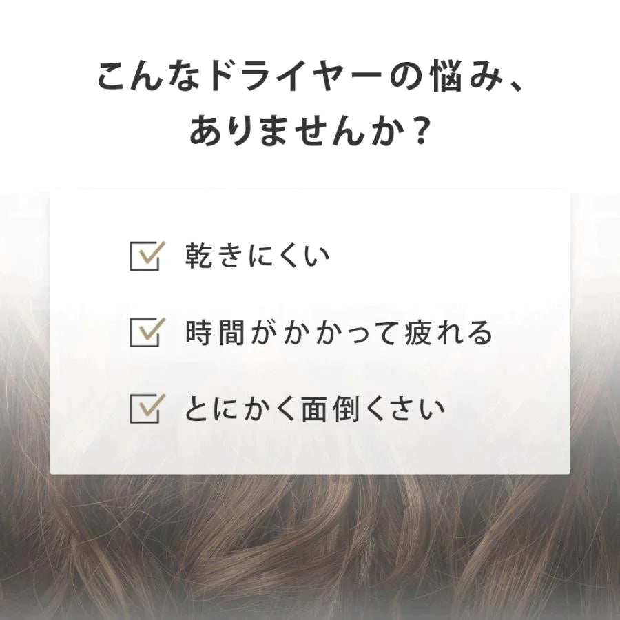 【超得ハイパーSALE】SALONIA スピーディーイオンドライヤー ホワイト