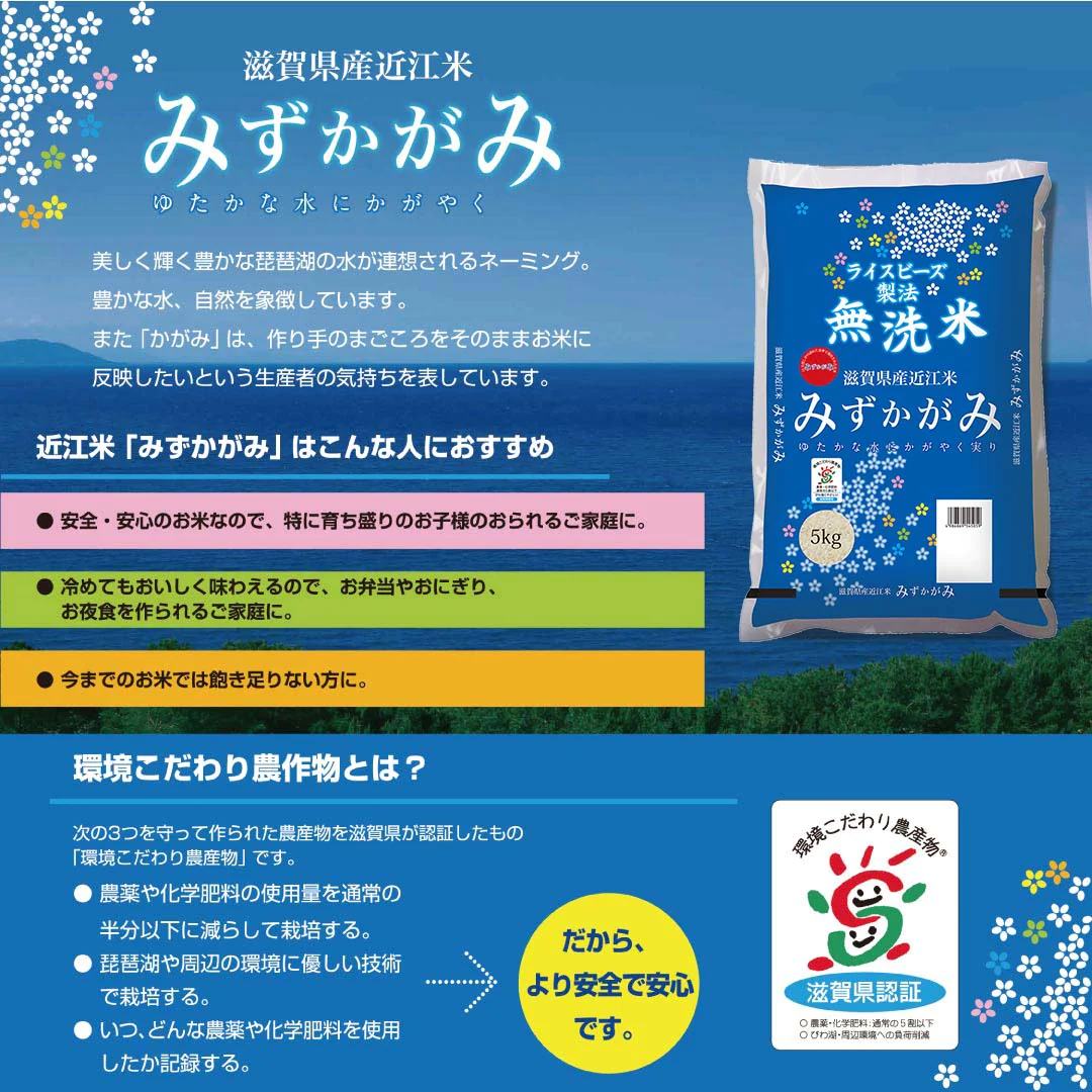 無洗米 米 滋賀県産 近江米 みずかがみ 30kg (5kg×6) 令和5年産 新米 お米 白米 おくさま印 国産 食品 ギフト 引っ越し 挨拶 出産 内祝い 母の日 父の日 お中元 お歳暮 結婚 快気 還暦 香典返し お年賀 送料無料