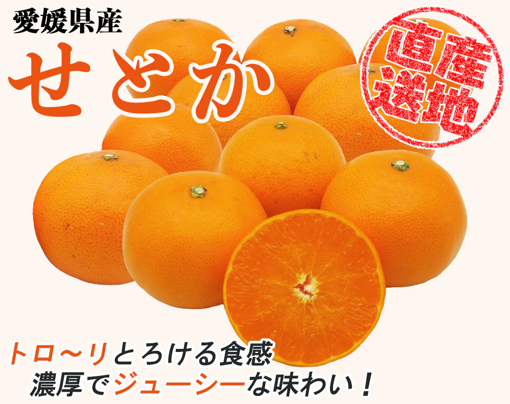 せとか みかん 5kg ミカン 蜜柑 サイズミックス 柑橘 フルーツ 果物 くだもの 箱買い 産地直送 愛媛県産 YDF-019