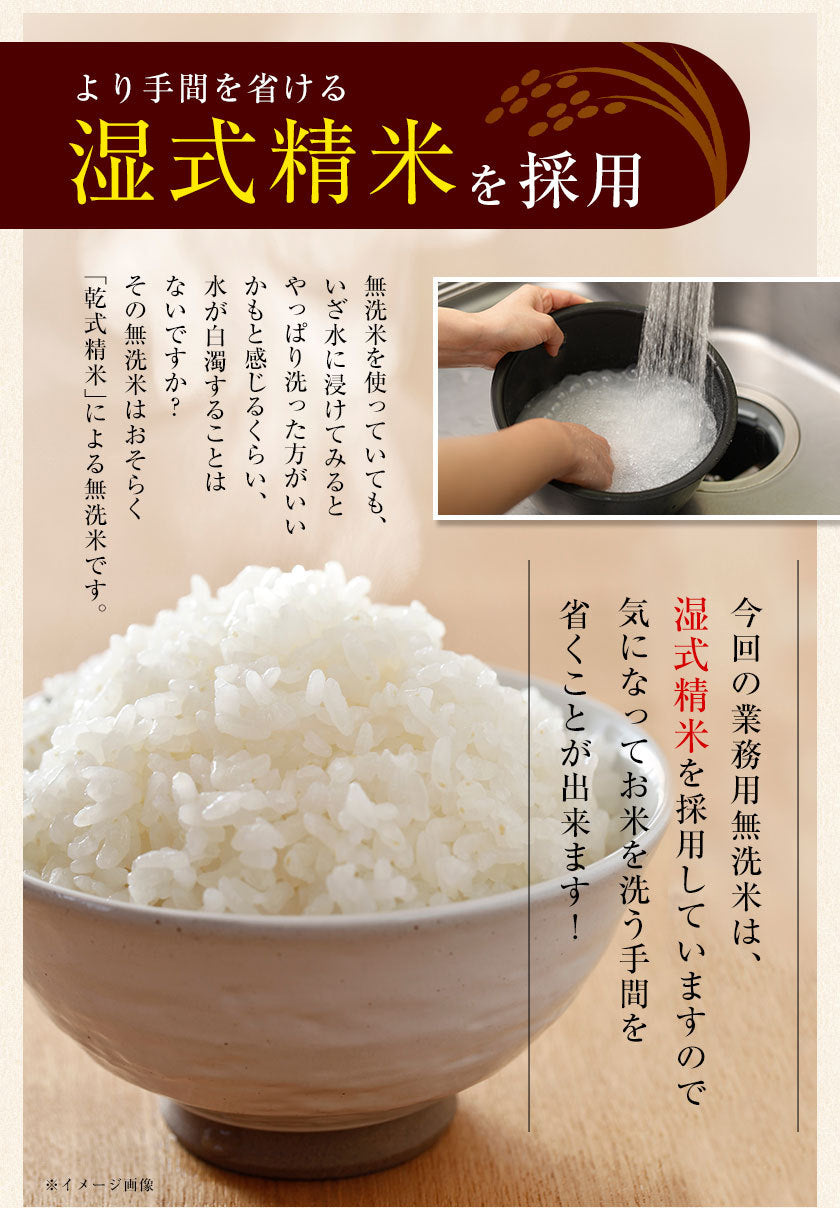 【熊本コレクション】業務用 無洗米 10kg (5kg×2) 送料無料【無洗米の最安値に挑戦中】コメ お徳用 無洗米 白米 非常食 保存食 業務用 訳あり わけあり 米 コメ 白米 精米 《1-5営業日以内に出荷(土日祝日除く)》