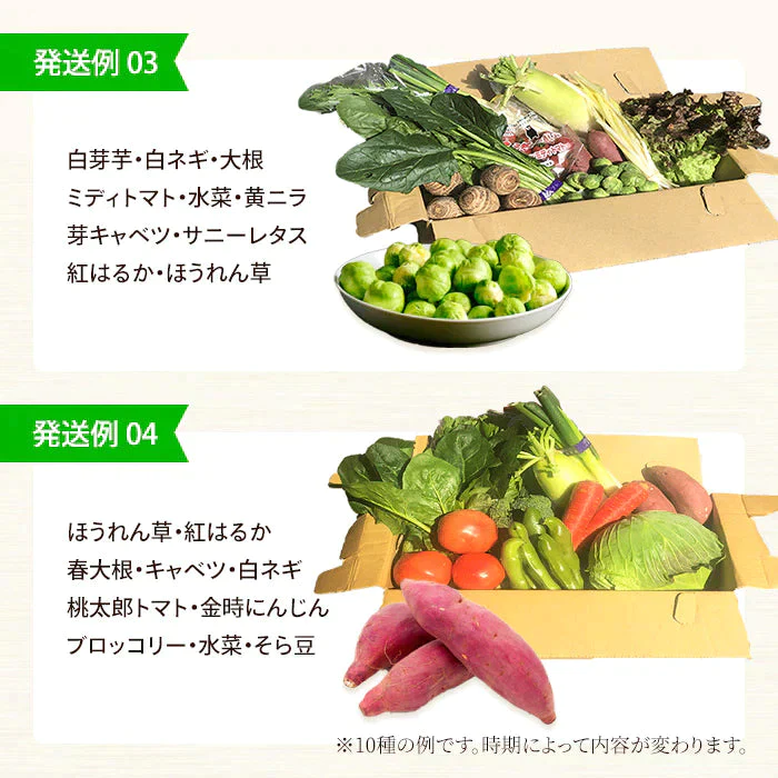 【超シェア買い祭】送料無料 野菜セット 10品セット おまかせ野菜セット 野菜詰め合わせ お試し野菜セット 西日本野菜セット フードロス 岡山 複袋 福袋 送料込 も ったいない 人気 安い 野菜宅配 おすすめ プレゼント ギフト 実用的 父の日 ギフト 福袋 お正月【エコ得】