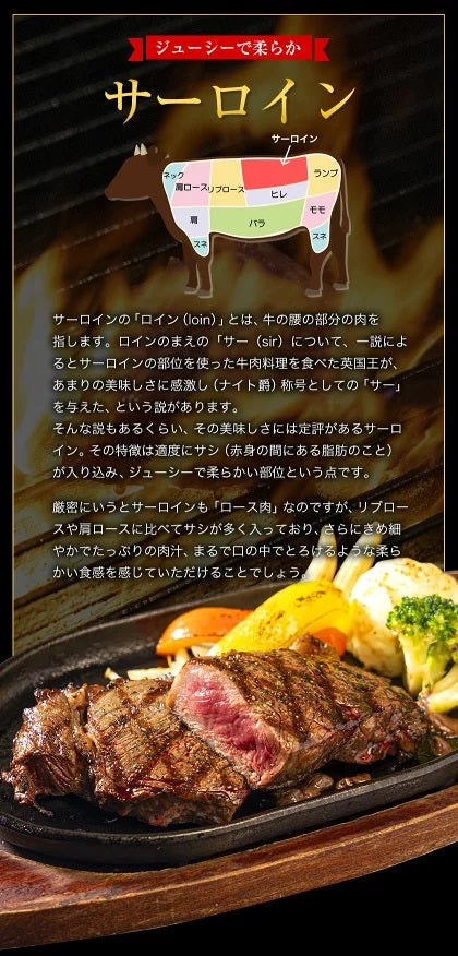 九州産黒毛和牛 厳選ステーキセット ヒレ200g サーロイン300g ステーキ肉 食べ比べ まとめ買いフードロス 食品ロス 削減支援 送料無料
