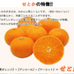 せとか 訳あり みかん 5kg ミカン 蜜柑 サイズミックス 柑橘 フルーツ 果物 くだもの ご家庭用 箱買い 産地直送 愛媛県産 YDF-020