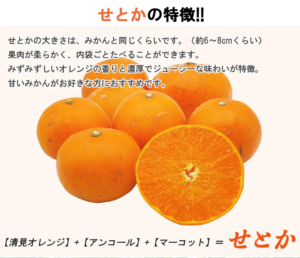 せとか 訳あり みかん 5kg ミカン 蜜柑 サイズミックス 柑橘 フルーツ 果物 くだもの ご家庭用 箱買い 産地直送 愛媛県産 YDF-020