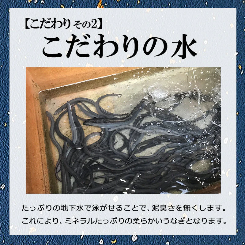 【産地直送】峰松うなぎ屋 うなぎの蒲焼 （3尾入り）