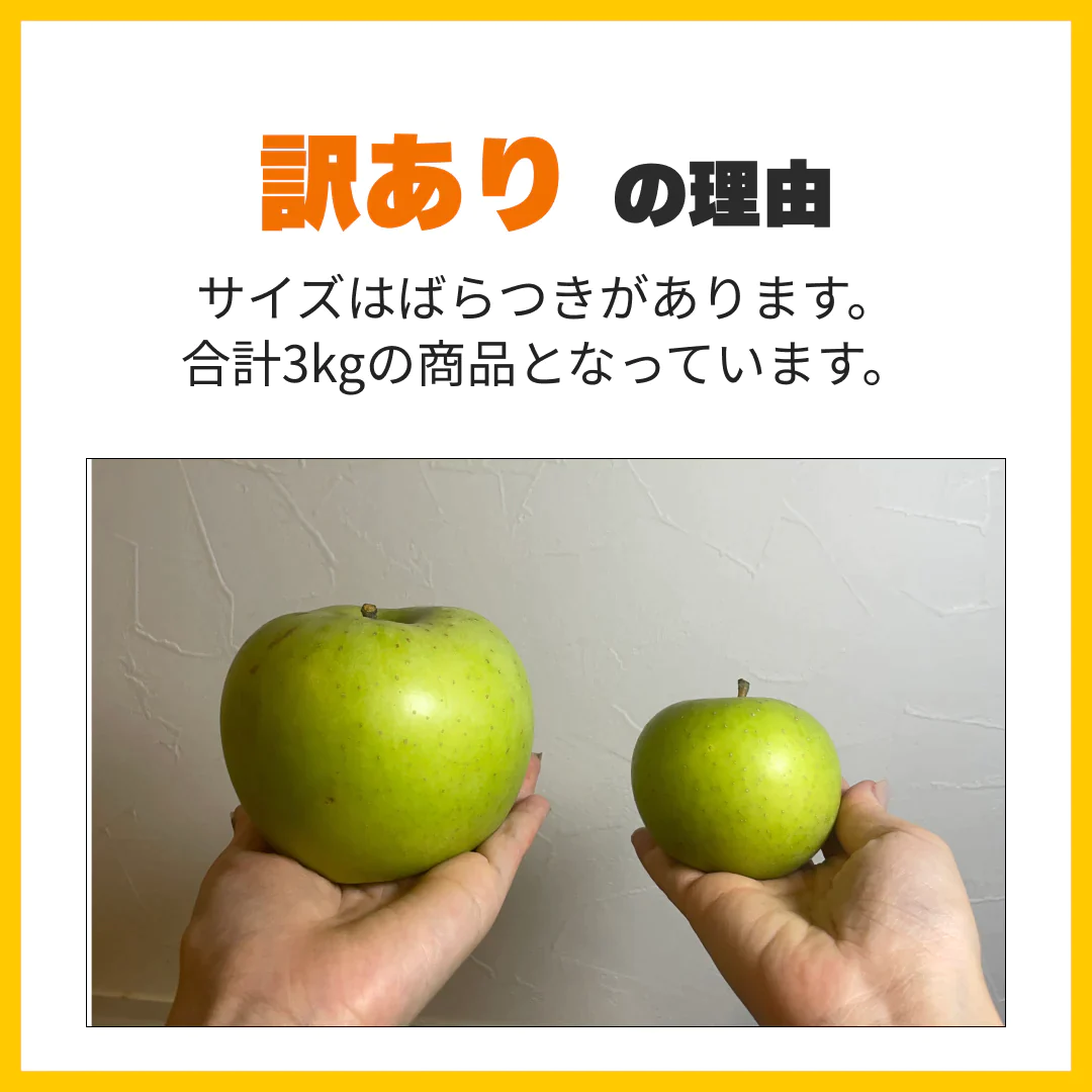 訳ありレスキューりんご 約3kg 長野県産 家庭用  品種混合 果物 フルーツ【順次出荷】【ゲリラセール】