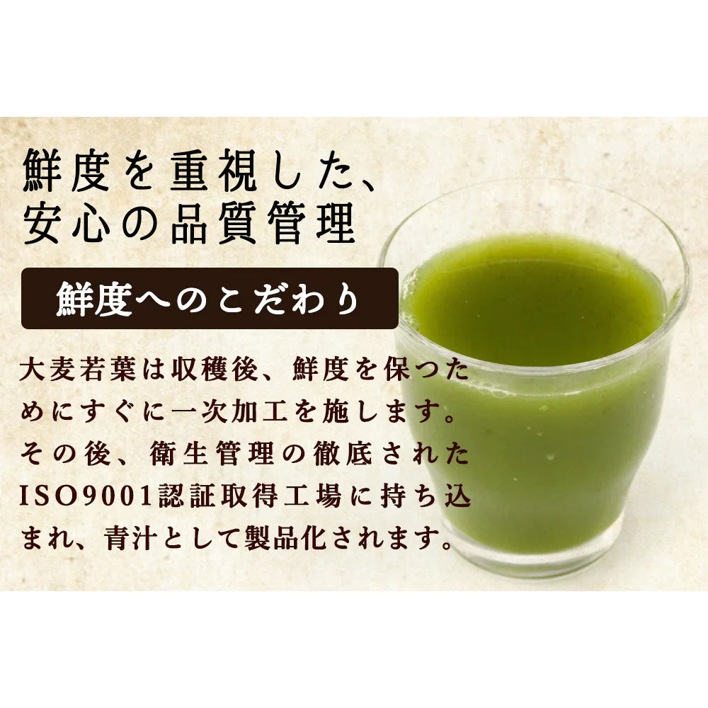 【ご新規さんとシェア買い】乳酸菌 国産青汁 63g (3g×21包) 3週間分　[ 青汁 飲みやすい 酵素 健康 ダイエット 国産 乳酸菌 100億個 食物繊維 おためし] K