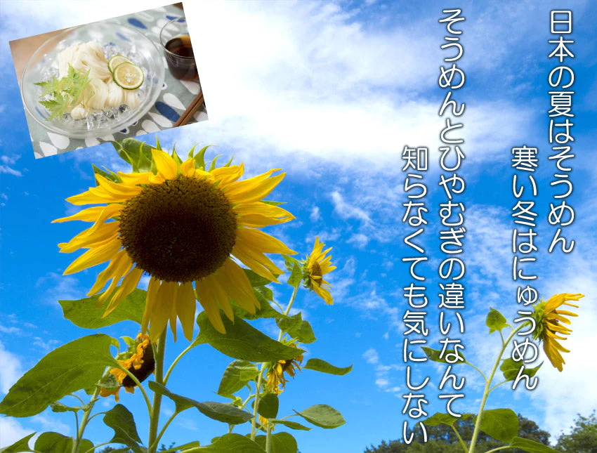 【超得ハイパーSALE】播州そうめん240g×3袋　乾麺