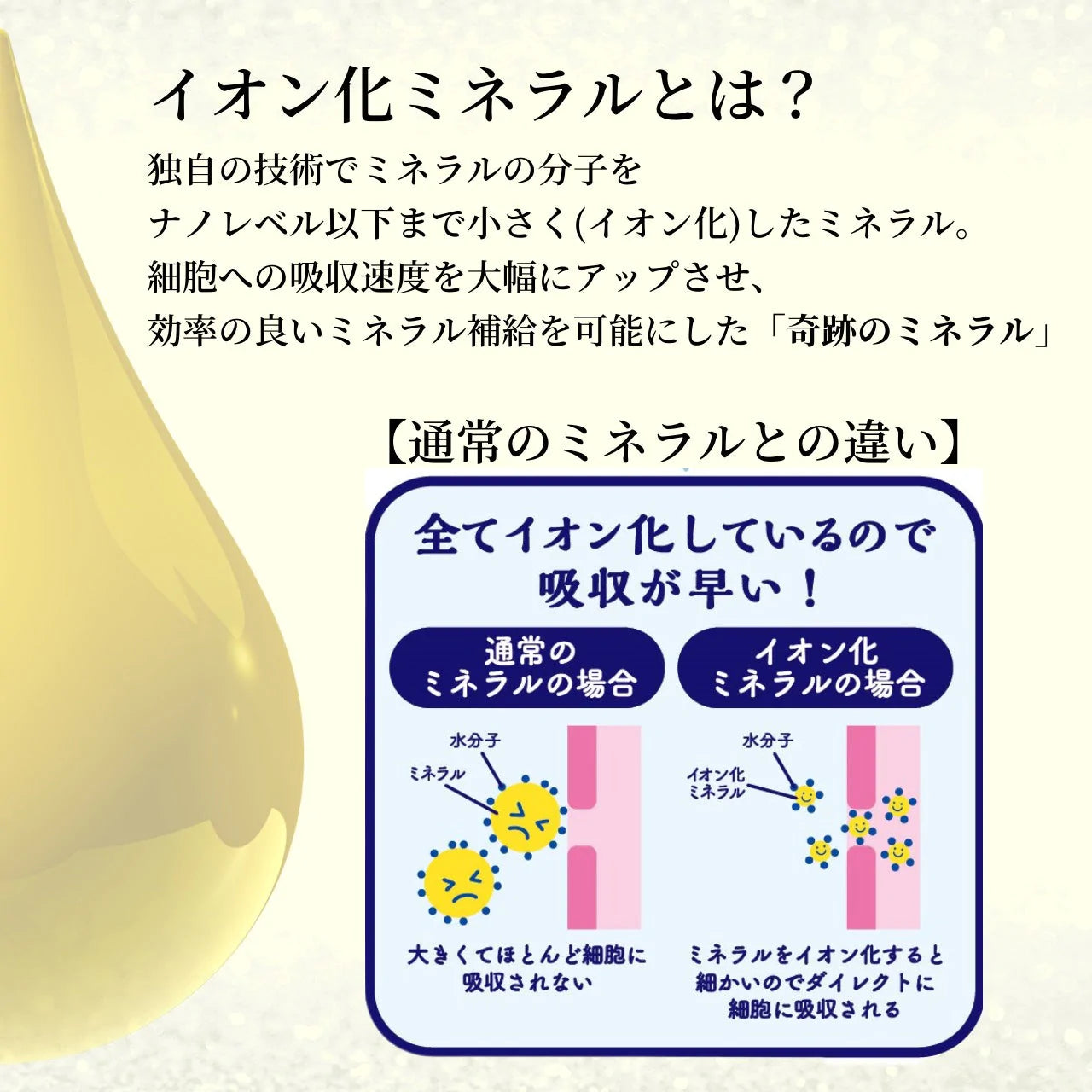 送料無料】10本入 バズビート BUZZBEAT 二日酔い防止 ドリンク 清涼