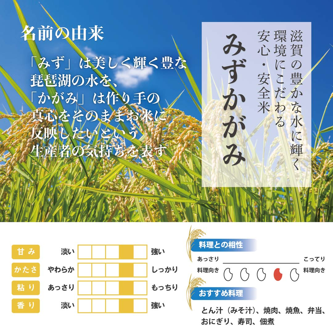 米 精米 滋賀県産 近江米 みずかがみ 10kg (5kg×2) 令和5年産 新米 お米 白米 おくさま印 国産 食品 ギフト 引っ越し 挨拶 出産 内祝い 母の日 父の日 お中元 お歳暮 結婚 快気 還暦 香典返し お年賀 送料無料