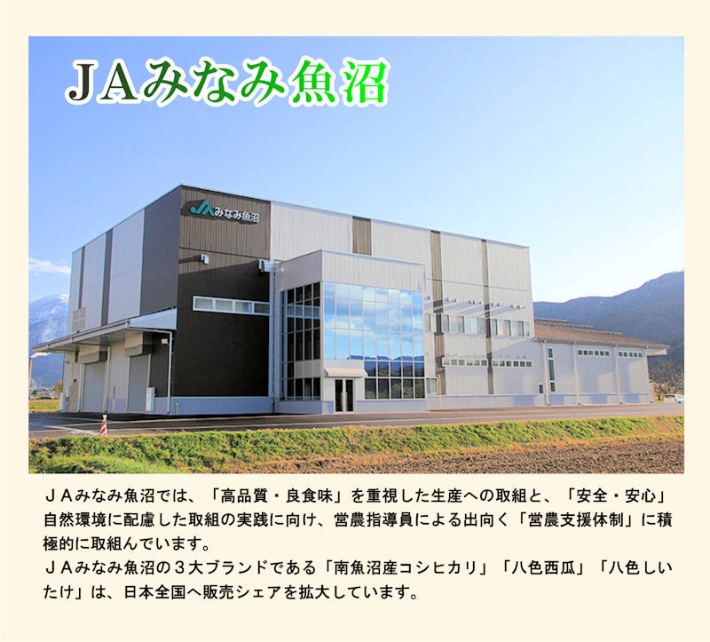 【送料込み】令和４年産 南魚沼産 コシヒカリ 20kg 新潟県 南魚沼 JAみなみ魚沼農協特Ａ地区 天地米