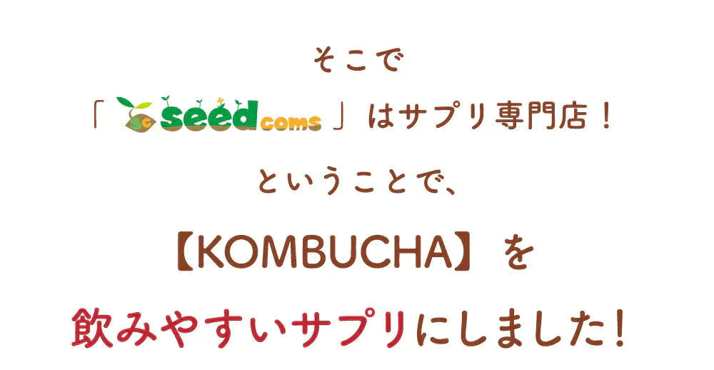 コンブチャ（KOMBUCHA）《1ヶ月分》 酵素 乳酸菌 美容成分 紅茶キノコ 酵母 ビタミンD 葉酸 ビタミンC ビタミンB  大豆ペプチド【ゲリラセール】