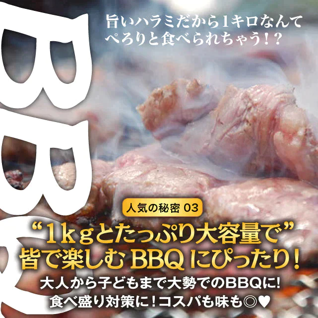 秘伝タレ漬け 牛ハラミ2㎏（500ｇ×4）【ゲリラセール】