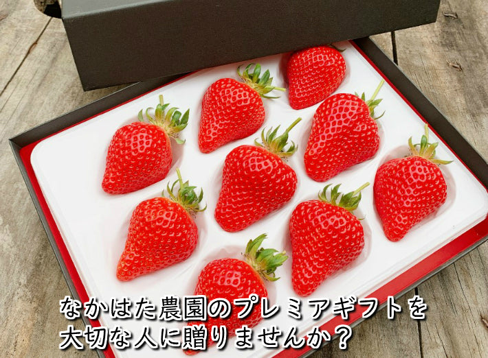 厳選 いちごギフト