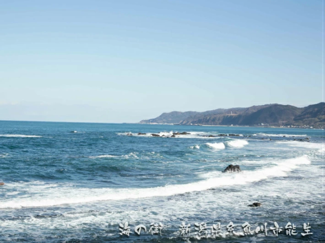 【無添加】日本海糸魚川親不知産、食雪解け水ミネラルたっぷり入った無添加産地直送シャキシャキもずく。たっぷり500g♪