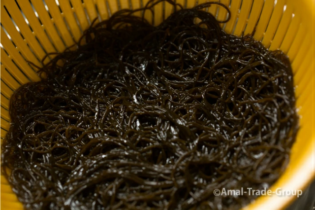 【無添加】日本海糸魚川親不知産、食雪解け水ミネラルたっぷり入った無添加産地直送シャキシャキもずく。たっぷり500g♪