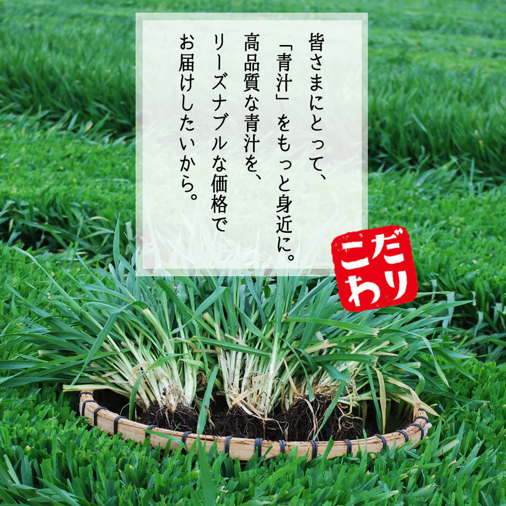 【100円シェア買い】フルーツ青汁 1ヶ月分 90g(3g×30包）[ 青汁 酵素 ダイエット 健康 フルーツ 16種類 の フルーツパウダー と 105種類 の 野菜酵素 国産【ご新規さんとシェア買い】