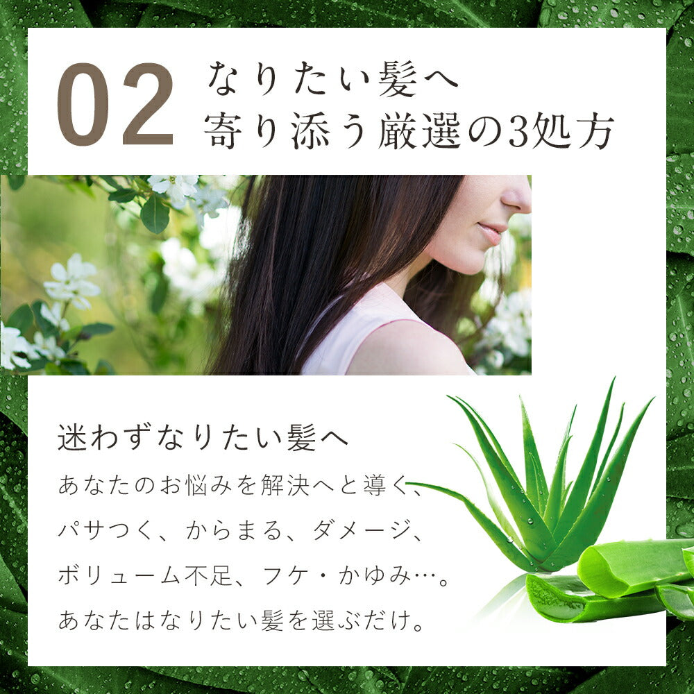 シャンプー＆トリートメント＆シャンプー詰め替え＆トリートメント 詰め替え ＆ ヘアオイル セットオルナ オーガニックボトル2本+詰め替え2個+ヘアオイル1本 5点セットALLNA ORGANIC