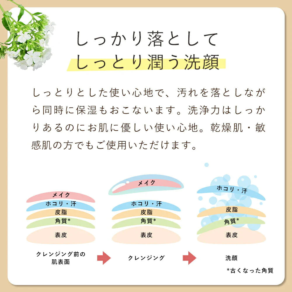 洗顔 洗顔フォーム オルナ オーガニック「 泡立つ 洗顔料 」「 合成着色料 合成香料 無添加 」100gALLNA ORGANIC