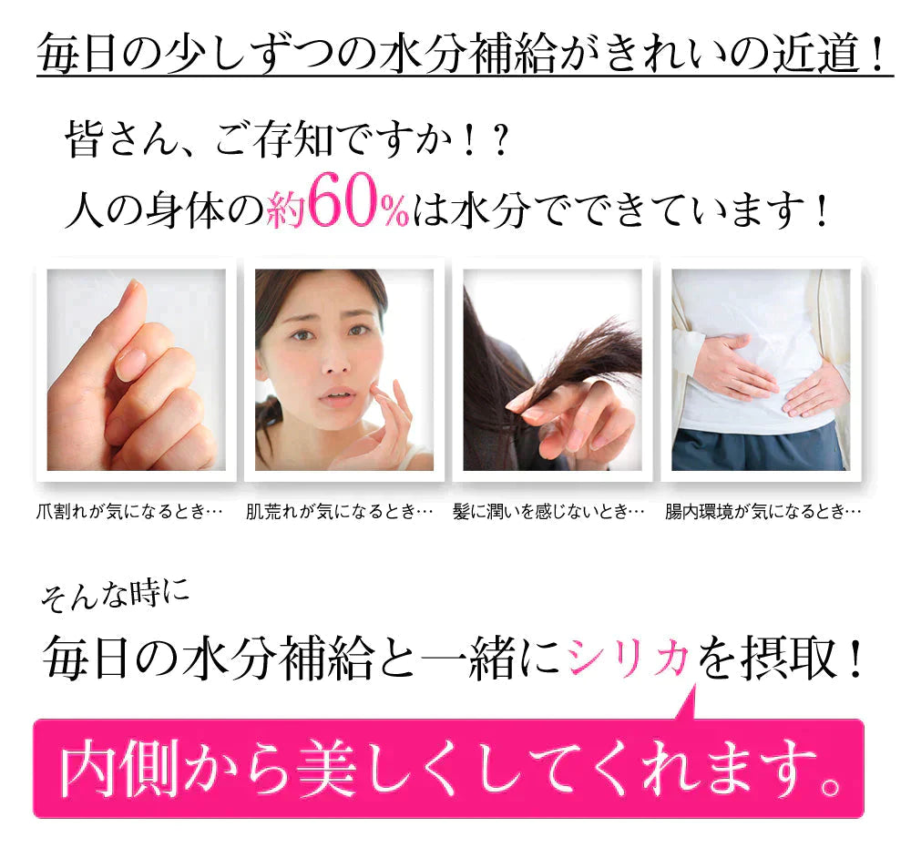 【1本75円】シリカ水 500ml 48本 高濃度シリカ水 シリカウォーター 理想のシリカ ミネラルウォーター ケイ素水 天然水 天然シリカ 水 軟水 国産 鳥取県産【ゲリラセール】