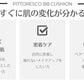 ピトレスコ(Pittoresco) MIST BBクッション(本品+リフィル) ［SPF50＋/PA＋＋＋］