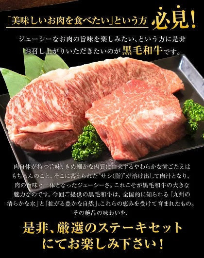 九州産黒毛和牛 厳選ステーキセット ヒレ200g サーロイン300g ステーキ肉 食べ比べ まとめ買いフードロス 食品ロス 削減支援 送料無料