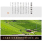２袋セット 宇治茶 有機 一番茶 限定茶園で生産された有機緑茶の一番茶のみを使用