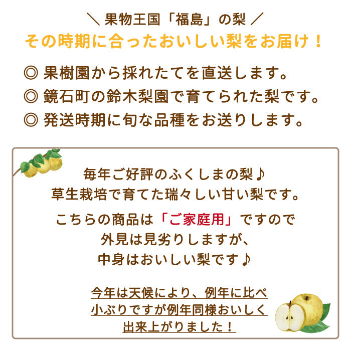 【3人シェア買いでお得】福島県産 梨 3kg  (6〜9個入)家庭用 鏡石町 *