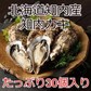 北海道知内産 特大 知内カキ 30個