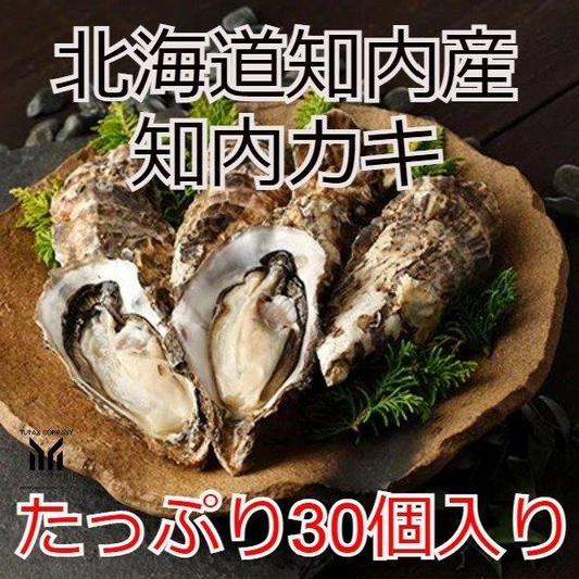 北海道知内産 特大 知内カキ 30個