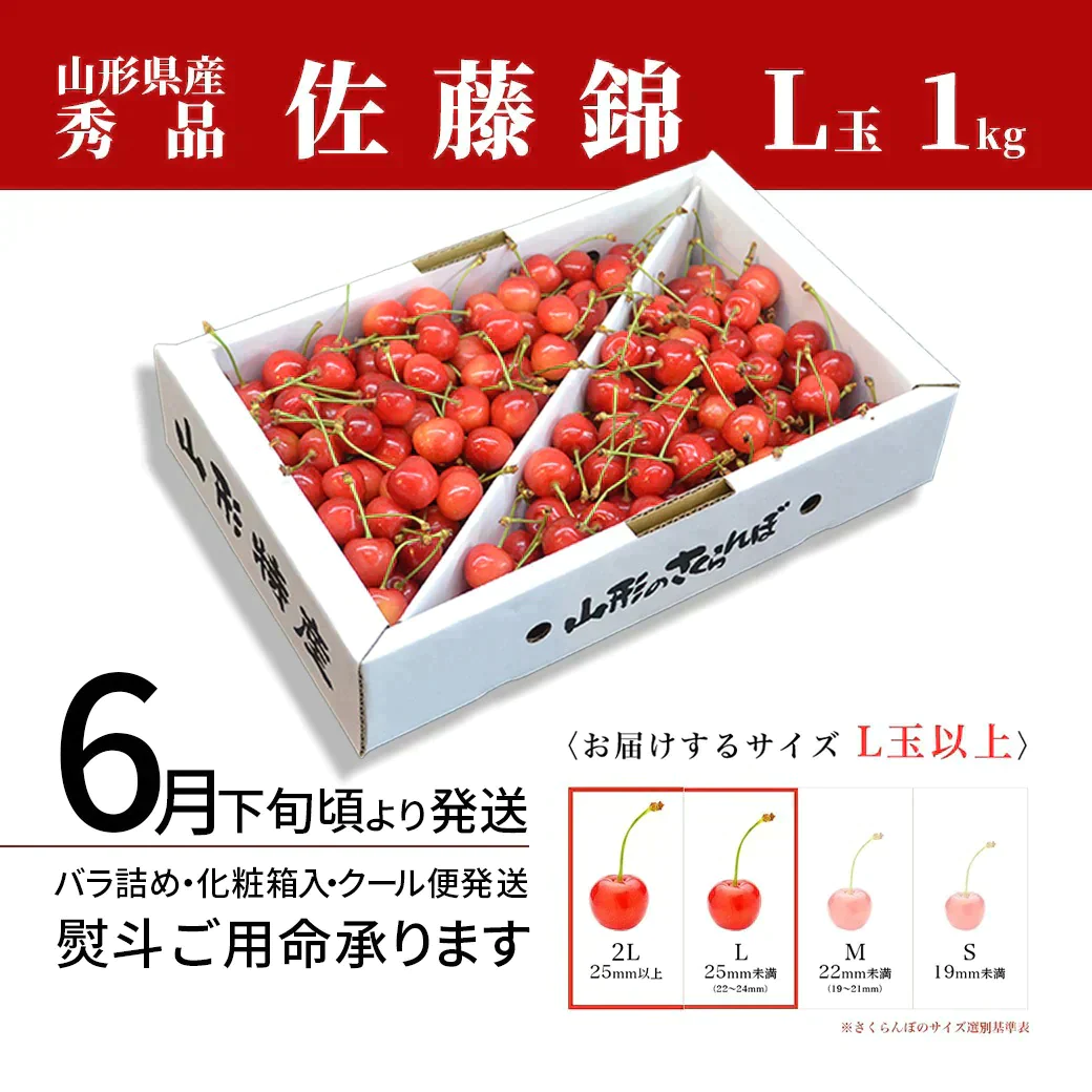 【6月下旬発送】 さくらんぼ 佐藤錦 秀品 L玉 1kg 山形県産を産地直送！ 化粧箱入 お中元 ギフト お中元 ギフト 贈答品として人気です 送料無料 内祝い