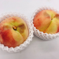 【訳あり大特価】桃 約1.5kg(4〜8玉) 山梨県産 家庭用【順次出荷】※打ち身や核割れなどの訳あり商品になります