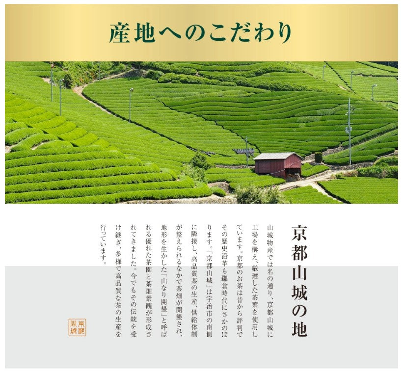 ２袋セット 宇治茶 有機 一番茶 限定茶園で生産された有機緑茶の一番茶のみを使用
