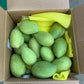 ベトナム産 カッチュー種 グリーンマンゴー 1Kg (2-5玉) XOAI XANH CAT CHU VIETNAM 1Kg (2-5qua)