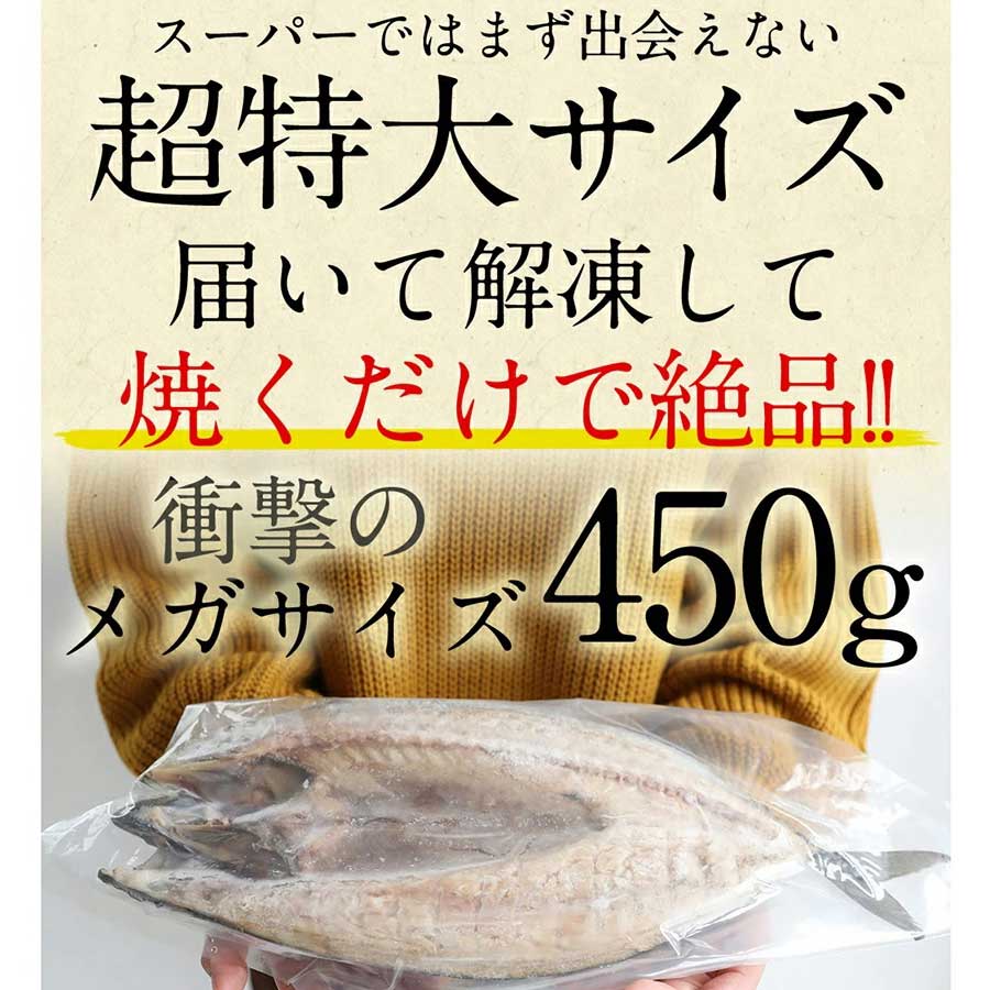 さば 開き 頭付 背開き 900g 450g×2枚 EPA DHA 豊富 青魚
