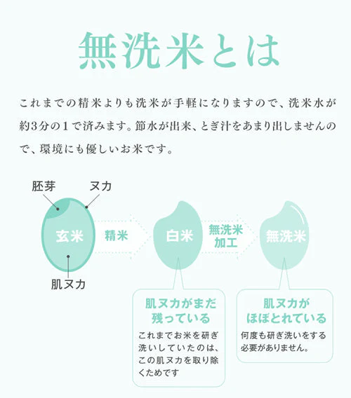 令和4年産 山形県産 はえぬき無洗米10kg(5kg×2) ※一部地域は別途送料追加 お米 コメ 米 JA rhm1004【店長本気のシェア買いWEEK】