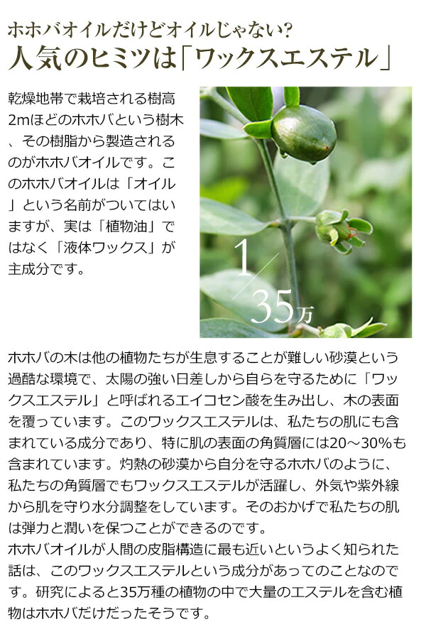 オーガニック・ゴールデン生 ホホバオイル 20ml 【キャリアオイル】｜ キャリアオイル 【送料無料】 【 carrier 】