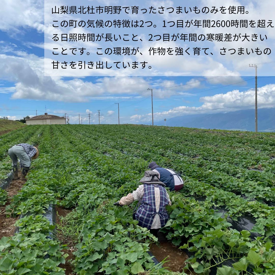 ひとくちこぐま-おつまみパック-