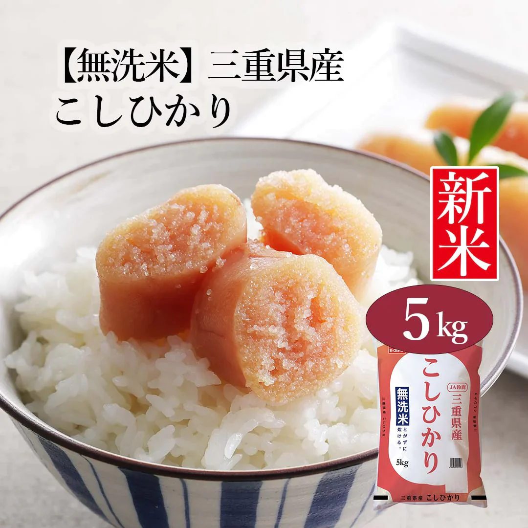 無洗米 米 三重県産 こしひかり 5kg 令和5年産 新米 お米 白米 おくさま印 国産 食品 ギフト 引っ越し 挨拶 出産 内祝い 母の日 父の日 お中元 お歳暮 結婚 快気 還暦 香典返し 寒中 暑中見舞い お年賀 送料無料
