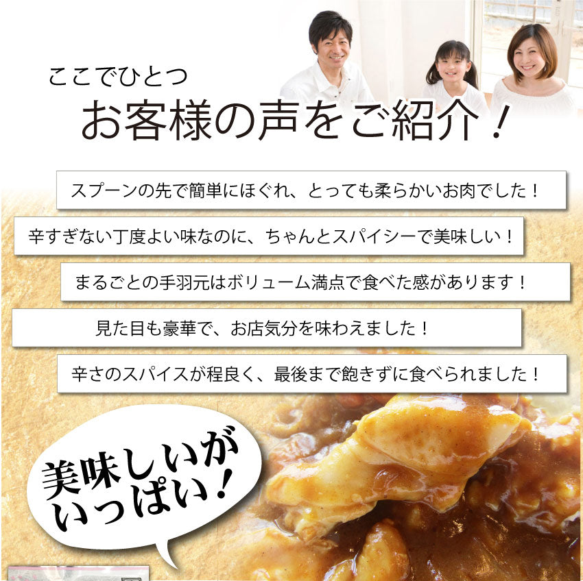 丸ごと1本 手羽元カレー 中辛 （お得な3食セット） 博多の有名店「鳥ＺＥＮ亭」