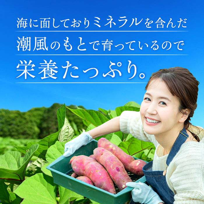 切り落とし干し芋300g【店長本気のシェア買いWEEK】